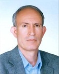 دکتر ربیعا اسکینی