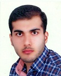 محمدهادی رستمی