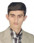 مجتبی کریم پور