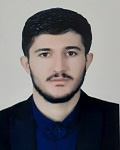 نیما عبادی نسب